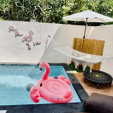 Pasu Pasu Villa